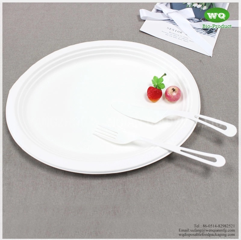 Biodegradable 10/12 Inch Oval Platters Made From Natural Sugarcane Pulp- Bamboo Dinner Plate Melamine Dinner Plate
