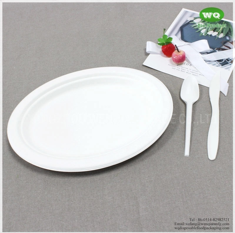 Biodegradable 10/12 Inch Oval Platters Made From Natural Sugarcane Pulp- Bamboo Dinner Plate Melamine Dinner Plate
