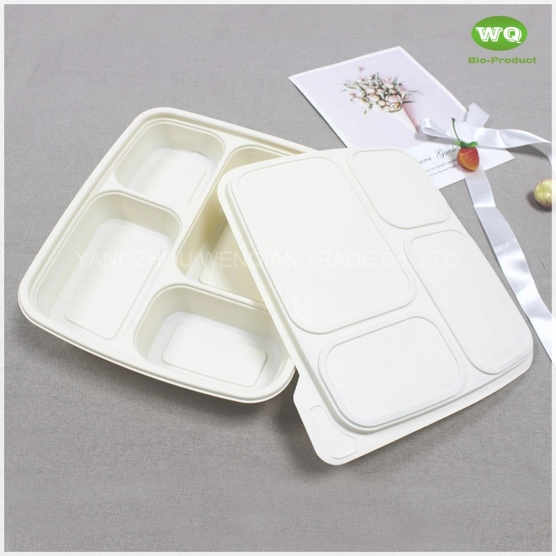 Corn Starch Food Box