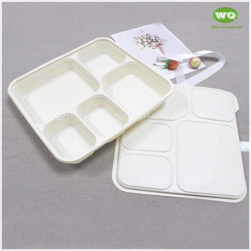 Disposable 950ml 5-Compartments Bio-plastic Lunch Box,Sustainable Food Safe Plastic Container,Custom Logo food to go Box