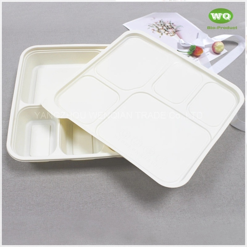 Disposable 950ml 5-Compartments Bio-plastic Lunch Box,Sustainable Food Safe Plastic Container,Custom Logo food to go Box