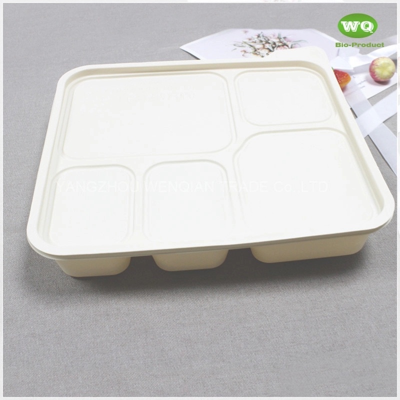 Disposable 950ml 5-Compartments Bio-plastic Lunch Box,Sustainable Food Safe Plastic Container,Custom Logo food to go Box