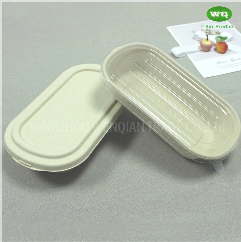 Eco-Friendly Sugarcane Pulp 850ml Package Box With Lid -100% Biodegradable Microwavable Lunch Box Food Packaging Box