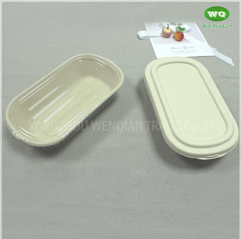 Eco-Friendly Sugarcane Pulp 850ml Package Box With Lid -100% Biodegradable Microwavable Lunch Box Food Packaging Box