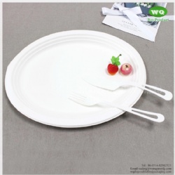 Biodegradable 10/12 Inch Oval Platters Made From Natural Sugarcane Pulp- Bamboo Dinner Plate Melamine Dinner Plate