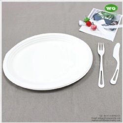 Biodegradable 10/12 Inch Oval Platters Made From Natural Sugarcane Pulp- Bamboo Dinner Plate Melamine Dinner Plate