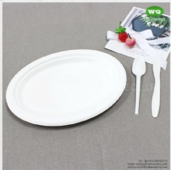 Biodegradable 10/12 Inch Oval Platters Made From Natural Sugarcane Pulp- Bamboo Dinner Plate Melamine Dinner Plate