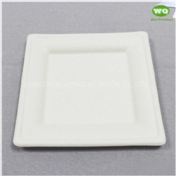 China Facotry Wholesale Sugarcane Pulp Square Plate-6 Inch/8inch/10inch,100% Biodegradable Disposable Square Party Plate