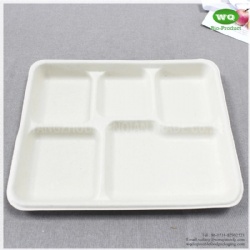 100% Biodegradable Sugarcane Pulp 5 Compartments Tray-High quality Biodegradable food tray For birthday parties