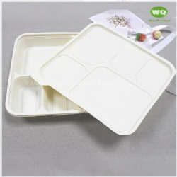 Disposable 950ml 5-Compartments Bio-plastic Lunch Box,Sustainable Food Safe Plastic Container,Custom Logo food to go Box