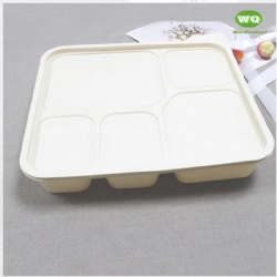 Disposable 950ml 5-Compartments Bio-plastic Lunch Box,Sustainable Food Safe Plastic Container,Custom Logo food to go Box