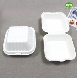 6 Inch (547ml) Biodegredable Sugarcane Clashmell -High Quality100% Biodegradable Compostable Food Box Wholesale Online