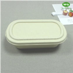 Eco-Friendly Sugarcane Pulp 850ml Package Box With Lid -100% Biodegradable Microwavable Lunch Box Food Packaging Box